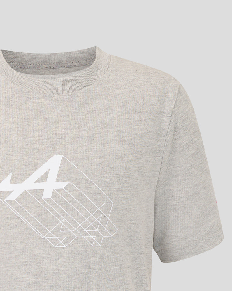 Junior Regular Fit Graphic T-Shirt – Grey Marl