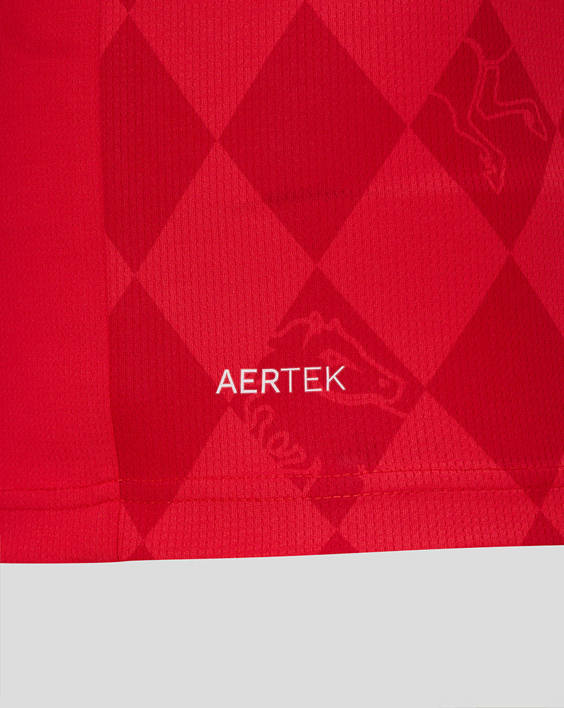 FC TWENTE HEIMSHIRT 25/26 - HERREN